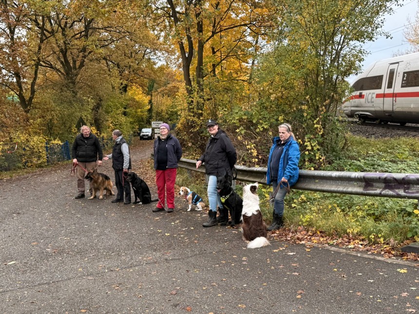 BH Prüfung Straßenteil